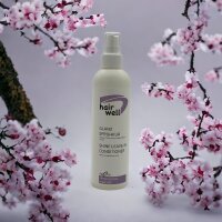 Glanzspray Hairwell 0,250 l