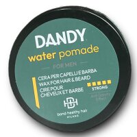 DANDY Water Pomade 100ml