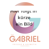 eGLADIO Netzteil