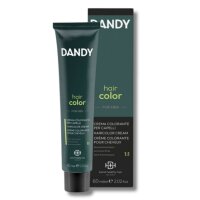 3 DANDY Hair Color MAN