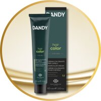 DANDY Hair Color MAN